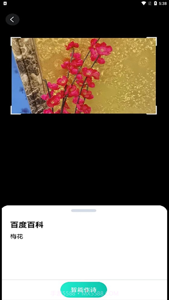 趣萌识别截图1 趣萌识别截图1