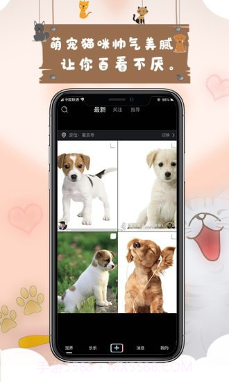 宠艾短视频截图2