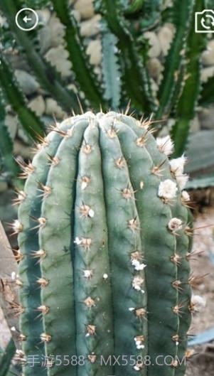 妙妙生活贴心宝截图3 妙妙生活贴心宝截图3