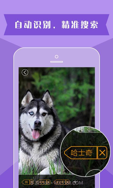 灵犀相册截图1 灵犀相册截图1