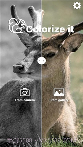 Colorize It截图1 Colorize It截图1