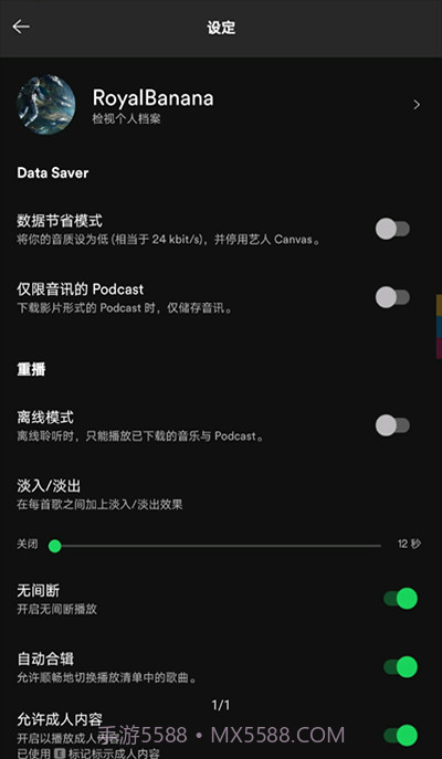 声破天Spotify截图2
