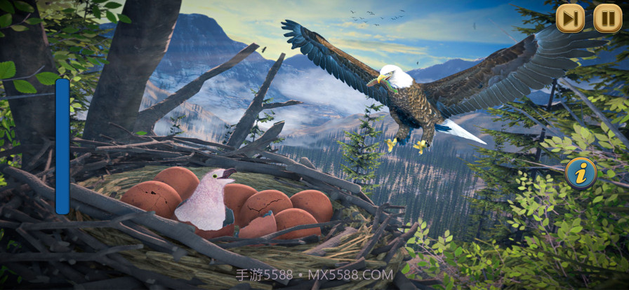 鹰鸟荒野生活模拟截图1