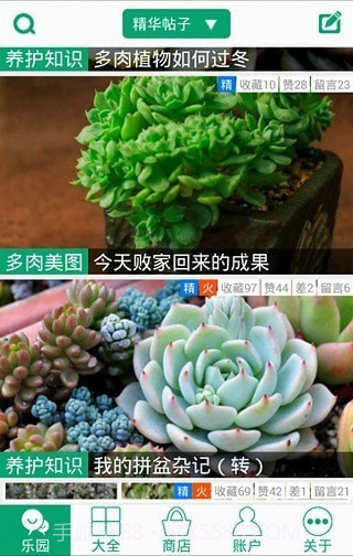 多肉植物截图5 多肉植物截图5