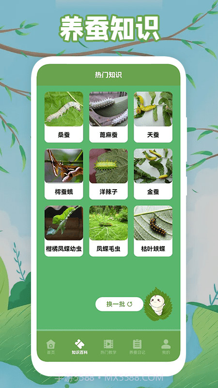 快乐养蚕截图3 快乐养蚕截图3