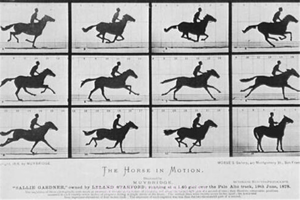 犯罪冲突疯狂的圣安地列斯截图4 犯罪冲突疯狂的圣安地列斯截图4