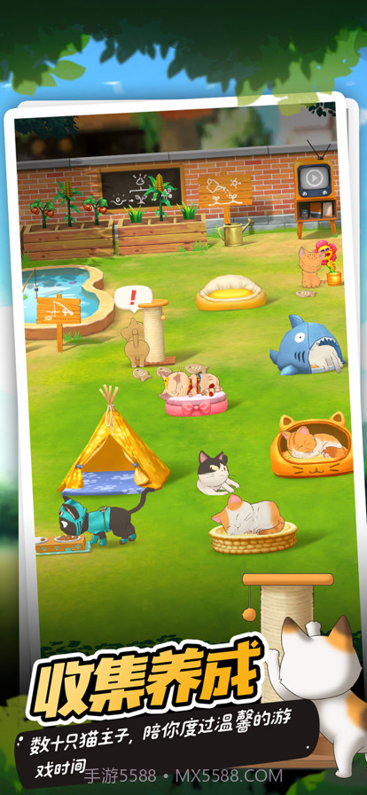 猫语咖啡最新版截图3 猫语咖啡最新版截图3