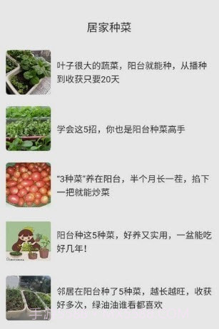 居家小达人截图1 居家小达人截图1