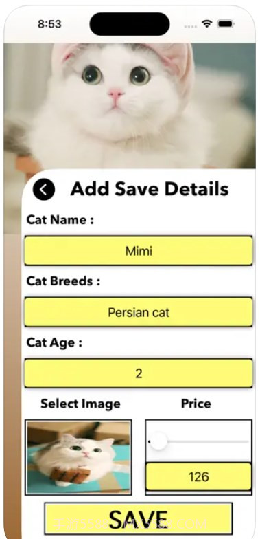 爱猫物语宠物店1.0截图1 爱猫物语宠物店1.0截图1