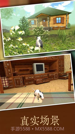 疯狂地鼠3d模拟截图4