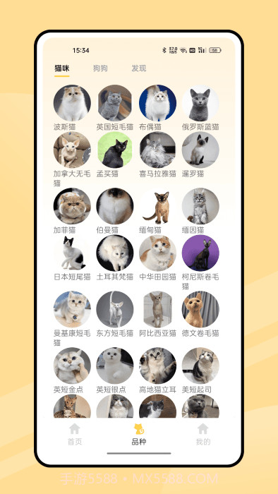 弛意有宠截图2 弛意有宠截图2