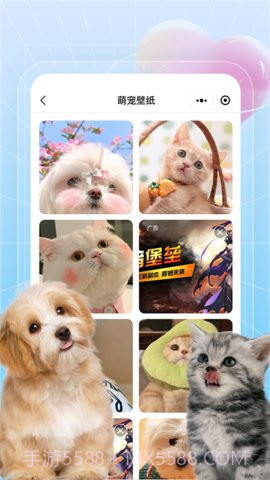 美好生活壁纸秀截图4