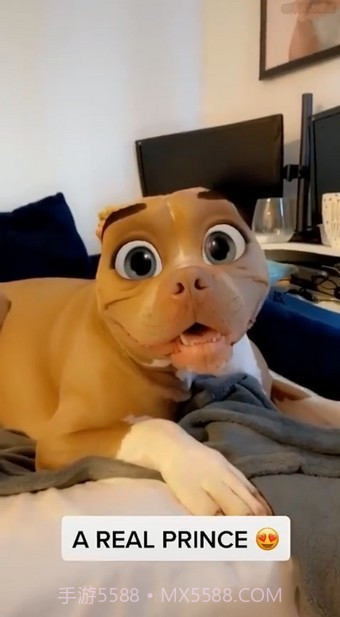 迪士尼滤镜截图1