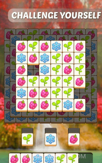 植物们配对截图4