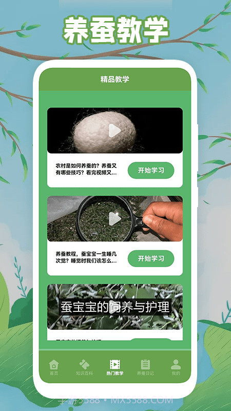 快乐养蚕截图2 快乐养蚕截图2