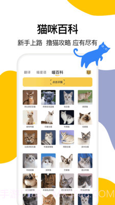猫语翻译大全截图3