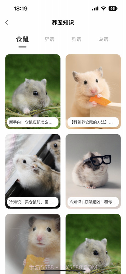 我的仓鼠日常截图1 我的仓鼠日常截图1