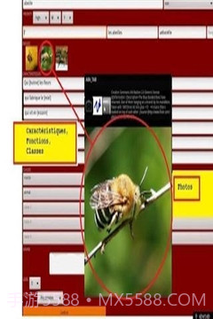 ABA自闭症教育截图2 ABA自闭症教育截图2