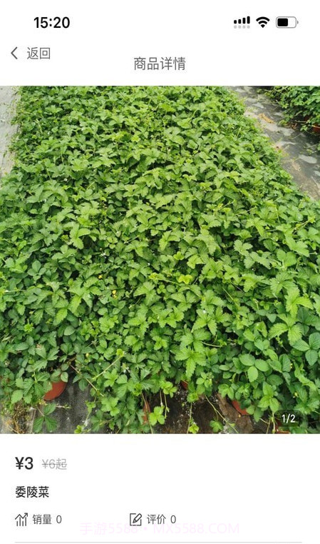 北京花卉截图3 北京花卉截图3