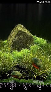 3D食人鱼：梦象动态壁纸截图3