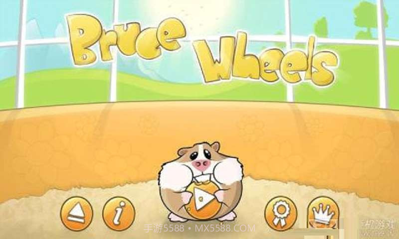 仓鼠飞轮截图1 仓鼠飞轮截图1