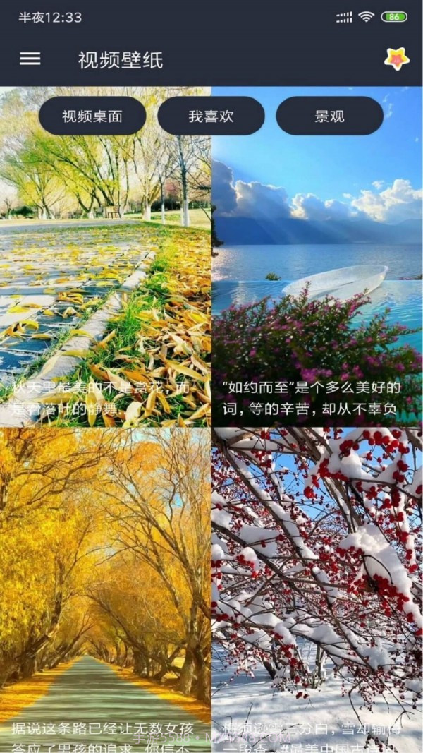 动漫视频壁纸官方截图3