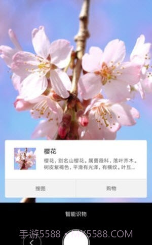 智能识物截图3 智能识物截图3