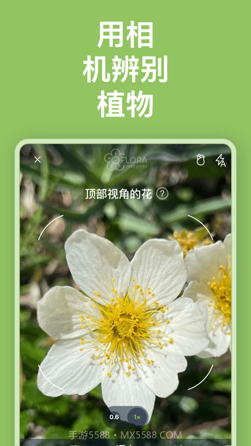 Flora Incognita植物识别截图3 Flora Incognita植物识别截图3