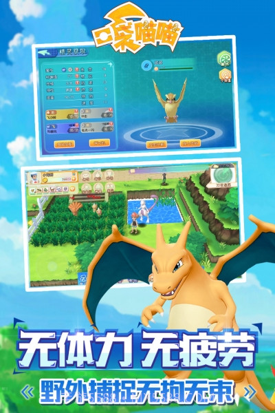 口袋喵喵最新版截图5