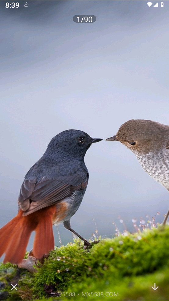 照片拼图呀Pro截图4 照片拼图呀Pro截图4