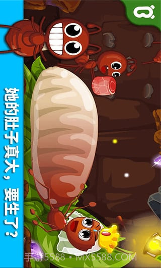 宝宝巴士宝宝认蚂蚁截图3