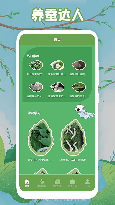 快乐养蚕截图1 快乐养蚕截图1