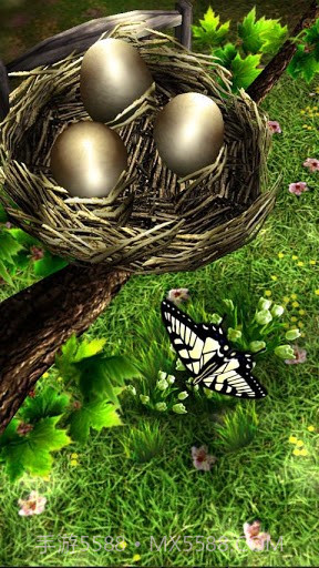 季禅hd截图4 季禅hd截图4