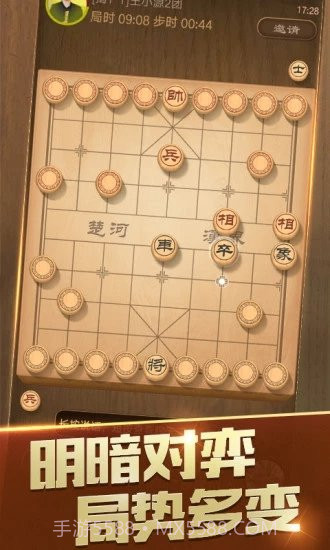 随心象棋助手手机版截图2