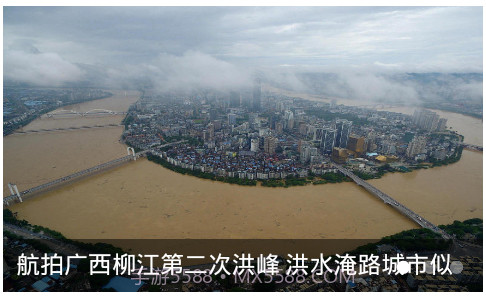 光明网手机版截图1