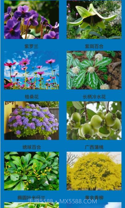 神农花草园艺截图3 神农花草园艺截图3