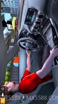 我的赛车人生截图2