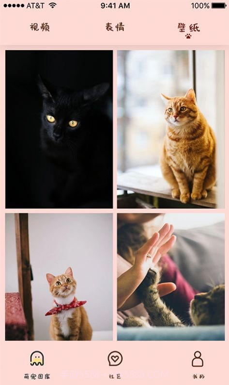 喵喵撸猫截图3 喵喵撸猫截图3