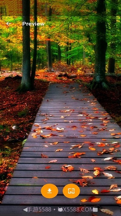 全球主题和壁纸截图4