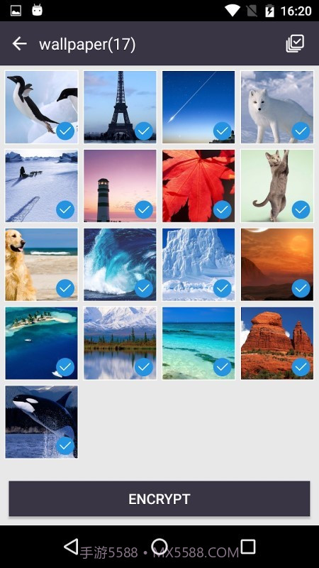 隐私保护大师截图3
