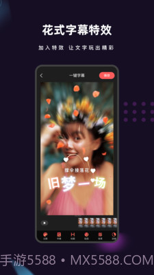 爱字幕2021截图2