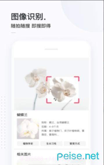 二哈搜索1.1.5截图2