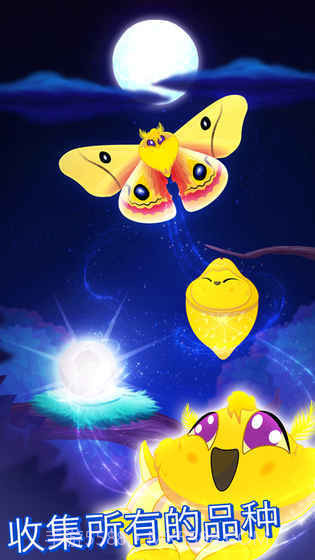 彩翼之星夜starlight截图3 彩翼之星夜starlight截图3