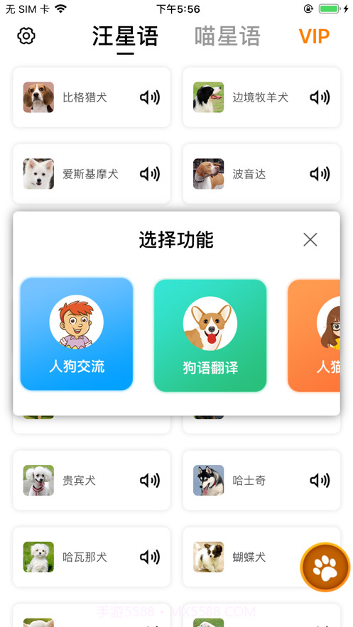 汪星人喵星人交流截图1