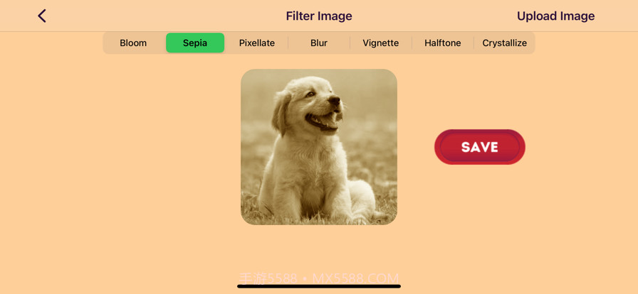名称基因截图5 名称基因截图5