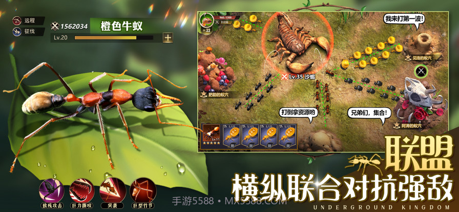 小小蚁国:真实蚂蚁世界截图5 小小蚁国:真实蚂蚁世界截图5