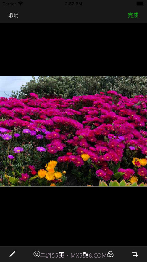 柠檬分身相机截图3 柠檬分身相机截图3