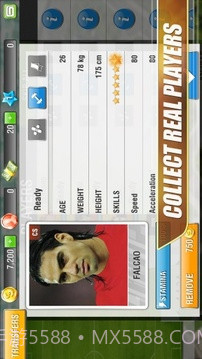 真实足球2013 英文免验证版截图1 真实足球2013 英文免验证版截图1