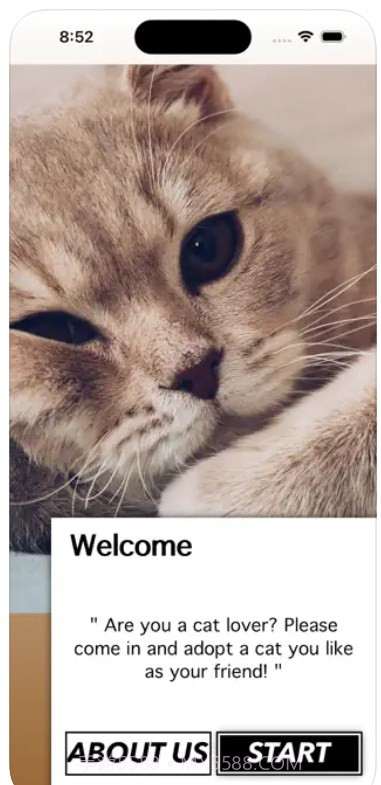 爱猫物语宠物店ios版截图1