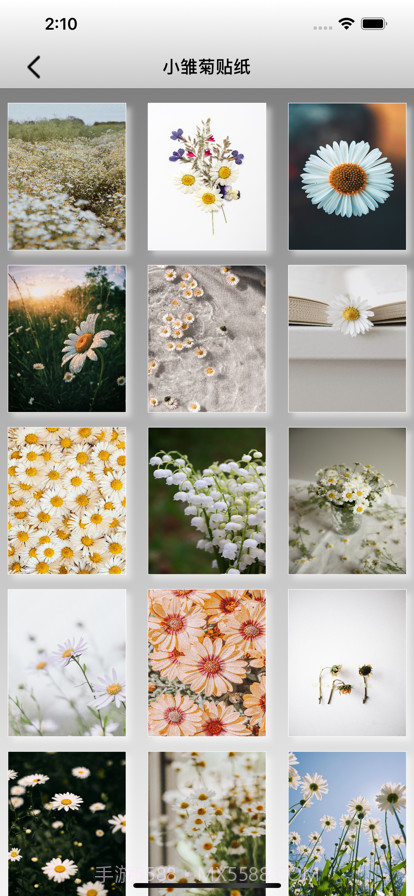 雏菊的二维世界截图1